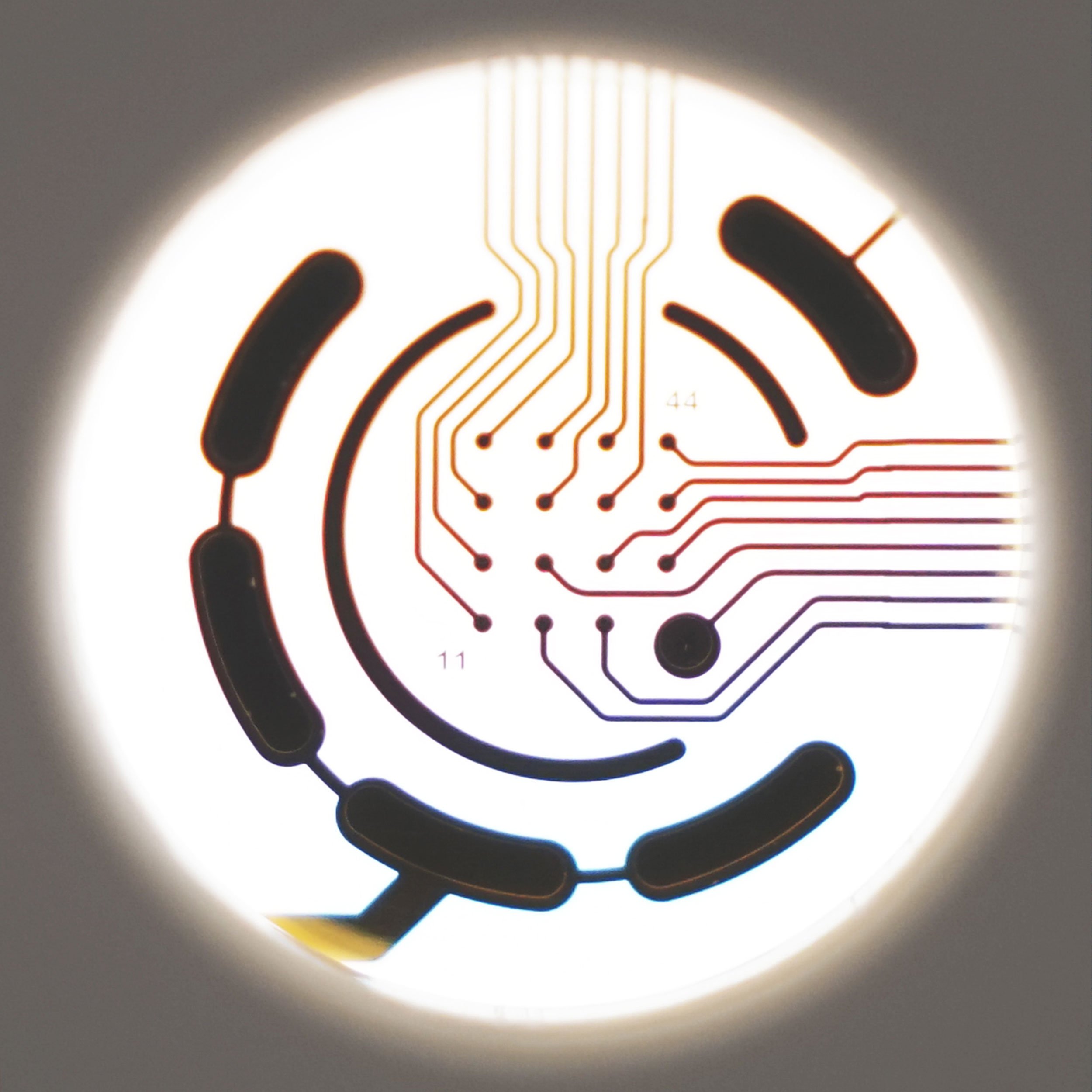 CytoView MEA Plate | Axion Biosystems